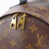 Louis Vuitton PM Palm Spring Backpack Monogram | Luna Bags - Image 8