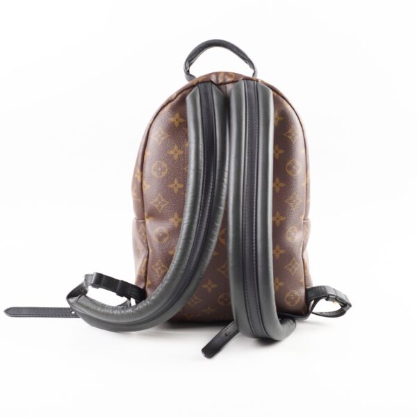 Louis Vuitton PM Palm Spring Backpack Monogram | Luna Bags