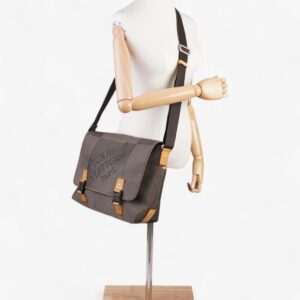 Louis Vuitton Loup Crossbody Damier Geant Canvas | Luna Bags