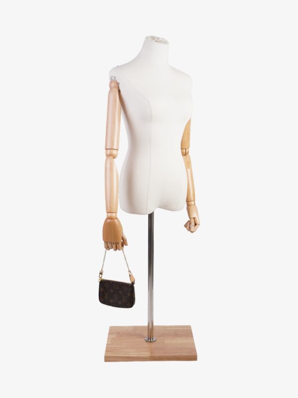 Louis Vuitton Pochette Accessoires Monogram Coated Canvas Mini | Luna Bags