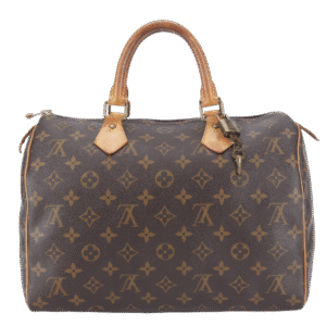 LOUIS VUITTON SPEEDY 30 MONOGRAM CANVAS GOLD HARDWARE WITH PADLOCK & KEYS | Luna Bags
