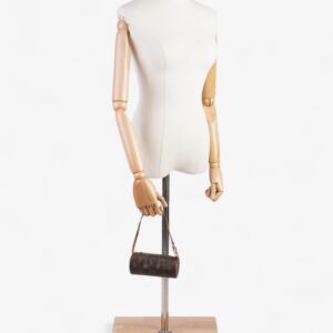 Louis Vuitton Papillon  Monogram Coated Canvas Mini | Luna Bags