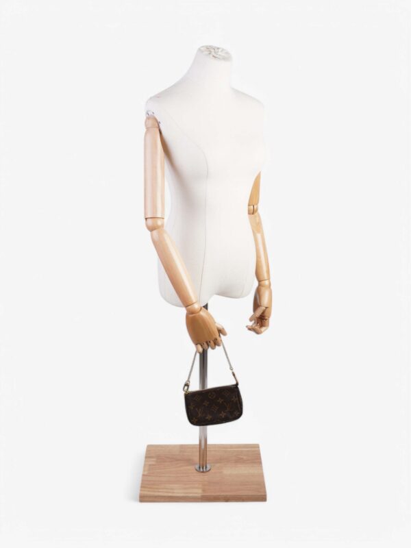 Louis Vuitton Mini Pochette Accessoires Monogram Coated Canvas | Luna Bags