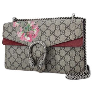 Gucci Dionysus Chainshoulder Bag Pvc / | Luna Bags