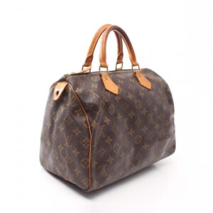 Louis Vuitton Speedy 30 Monogram Handbag,Brown | Luna Bags