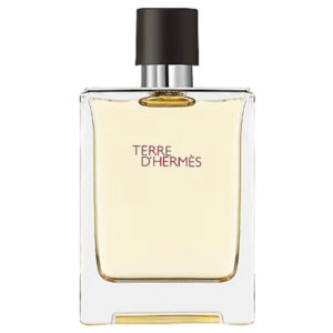 Hermes Terre D'hermes Eau De Toilette 100ml | Luna Bags