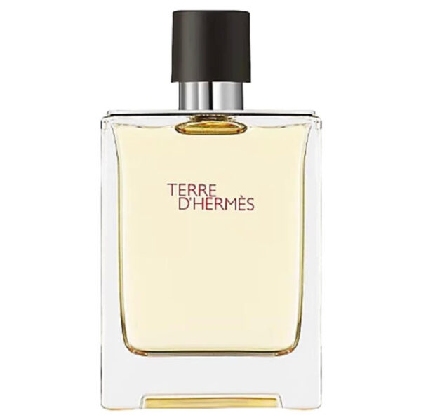 Hermes Terre D'hermes Eau De Toilette 100ml | Luna Bags