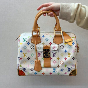 Louis Vuitton Multicolor Speedy 30 Bag | Luna Bags