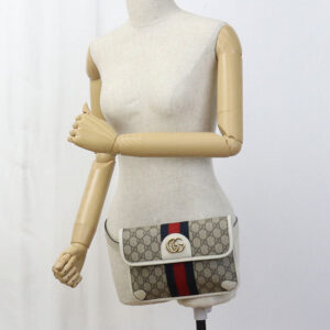 GUCCI 674081 body bag Ofidia Belt bag GG Supreme, leather multicolor unisex | Luna Bags